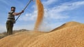 Iraq begins construction of five new silos, expanding grain storage capacity