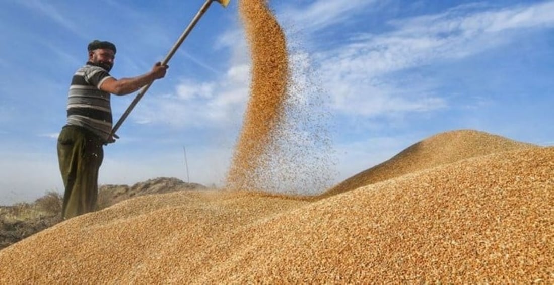 Iraq begins construction of five new silos, expanding grain storage capacity