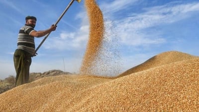 Iraqi trade ministry approves $105 million for Kurdistan farmers’ wheat payments