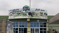 من داخل المعمل: شاهد صناعة اللبن العراقي.. بلا حليب 