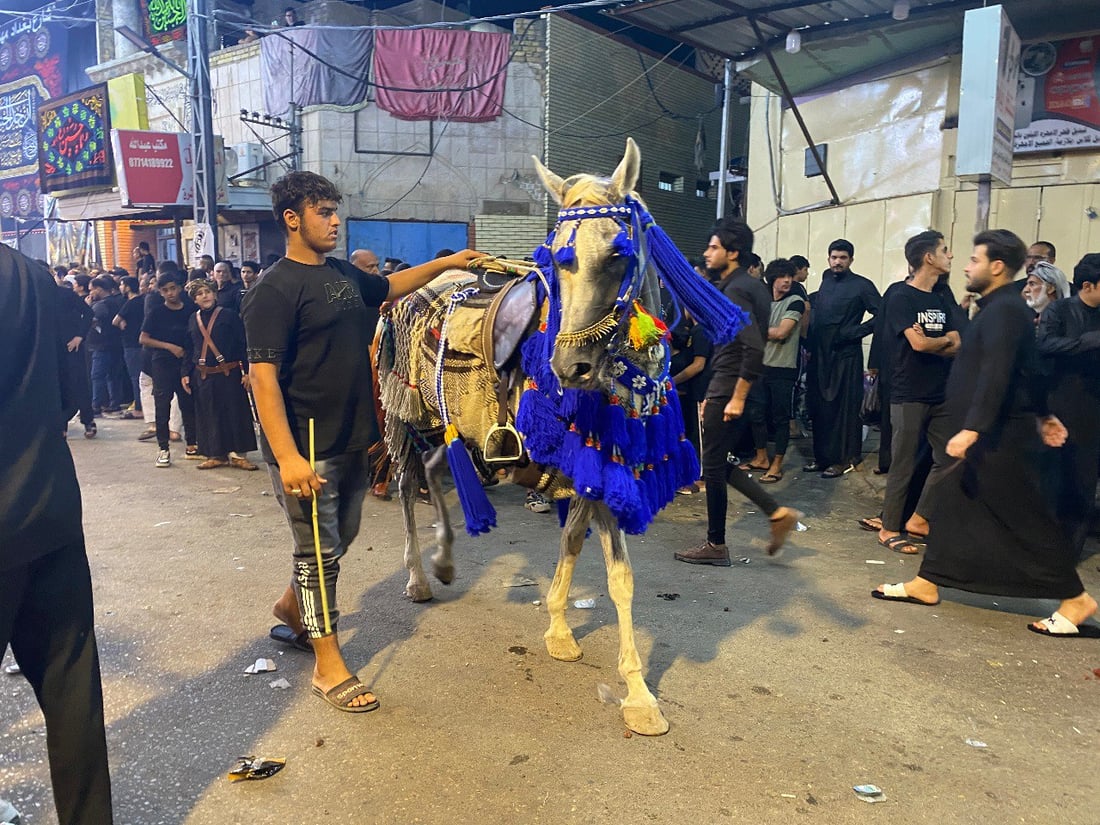 صور: خيول وجمال وخلطات بخور خاصة إضافات جديدة على مواكب الحسين في العمارة