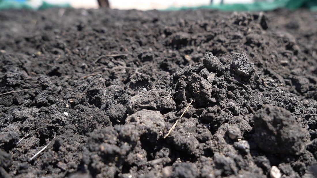 صور: خبراء البصرة أنتجوا سماد الفحم النباتي بعد حرق مخلفات البساتين