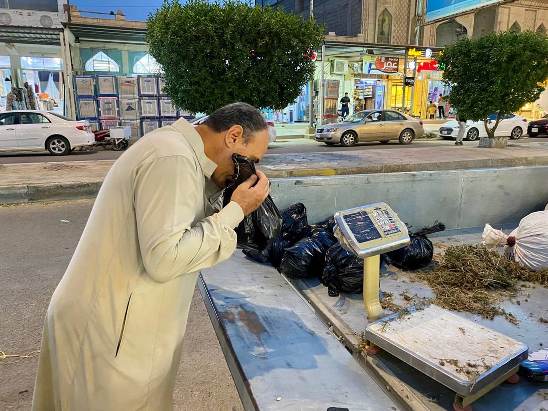 صور: بيع الزعتر العراقي في مدن الأنبار.. يفضّله أهل كبيسة وهيت