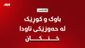 باڵەکایەتی؛ باوک و کوڕێک لە حەوزێکی ئاودا خنکان