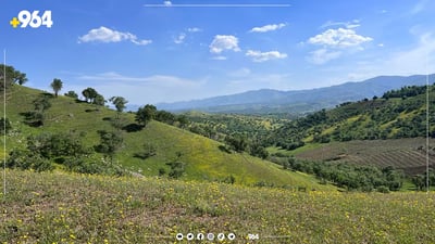 السليمانية تتأهب لحرائق الصيف بخطة تبدأ من غابات بنجوين