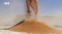 Ministry blames ISIS-era conditions for 49,000 tons of spoiled wheat