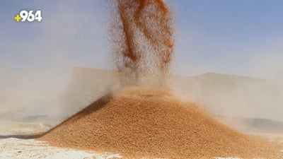Ministry blames ISIS-era conditions for 49,000 tons of spoiled wheat