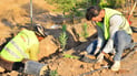 Erbil plants over 20,000 trees in push to expand green spaces