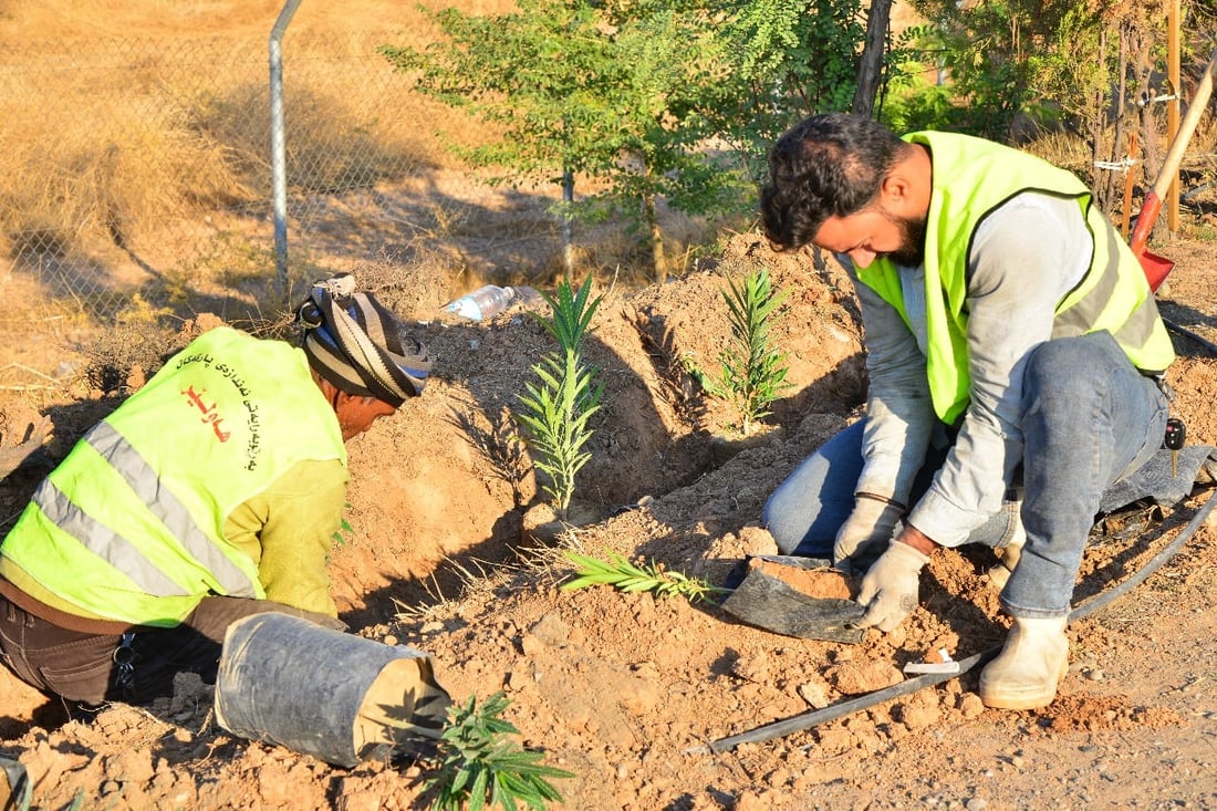 Erbil plants over 20,000 trees in push to expand green spaces