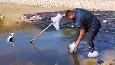 هاوڵاتییەک دوو باڵندەی لەقلەق لەناو پاشماوەی نەوتی رەش رزگارکرد