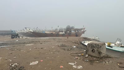 ضباب الفاو يحجب أسماك البحر والنهر عن مزاد “النقعة” صباح الأحد