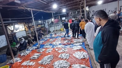 صور: النقعة تغص بعشاق “الكلداني”.. صيادو البصرة يبحثون عن الصبور فقط