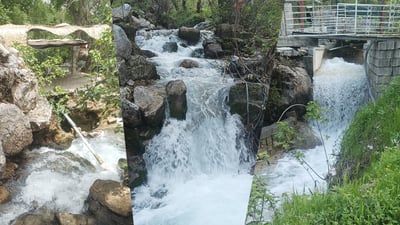 به‌شێك له‌ سه‌یرانگا و كه‌پره‌ گه‌شتیارییه‌كانى گه‌لى ئاكۆیان زێده‌ڕۆییان كردووه‌