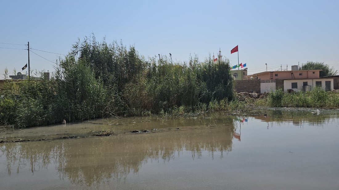 صور من بازوايا وحوار مع أهلها: نريد التحول إلى ناحية لإنهاء المستنقعات