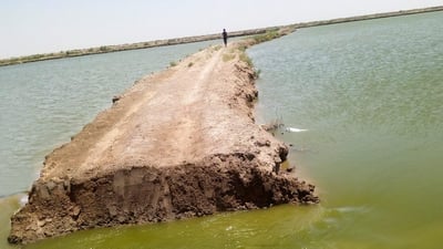 Water ministry continues removal of unauthorized fish ponds in Basra