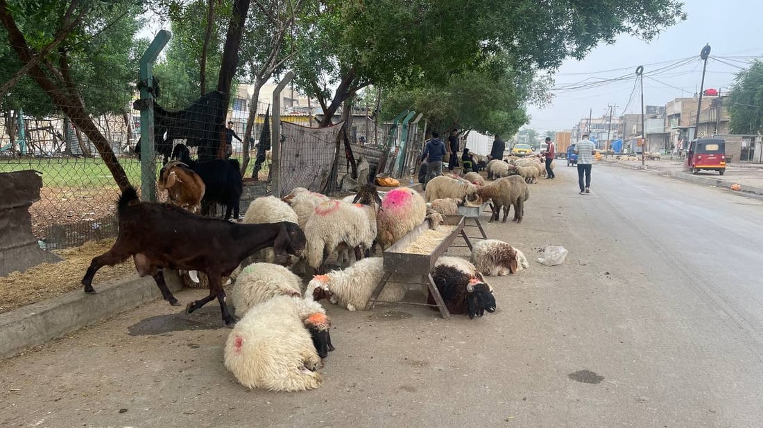هذا ما يحدث قرب صورة الصدرين في “قطاع 18”.. وهناك من “يحميهم”! (صور)