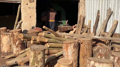 فيديو: ما أجمل لهجة ديالى هذه.. طريقة صنع “جاون المدكوكة” من جذع السدرة في بهرز