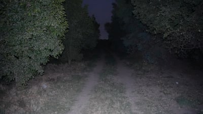 Farmers in Al-Mu’tasim say wild boars damaging crops, causing injuries