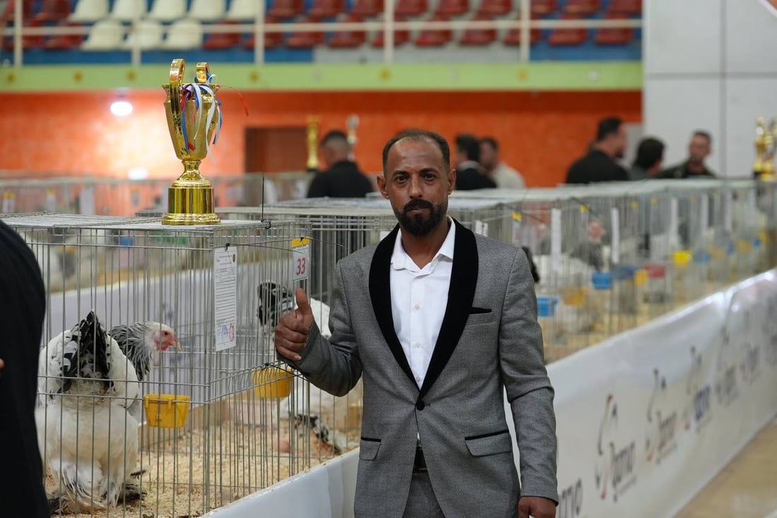 صور: دجاجة بصراوية وديك أربيلي أجمل طيرين في العراق.. مسابقة بإشراف تركي