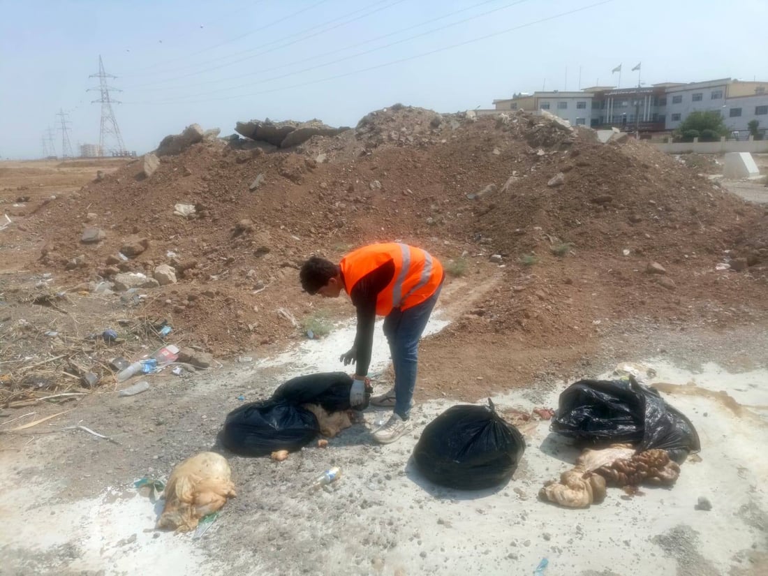 24 شوێن دیاریکراوە کەچی پاشماوەی ئاژەڵی قوربانی لە ناوەڕاستی شەقام فڕێدەدەن