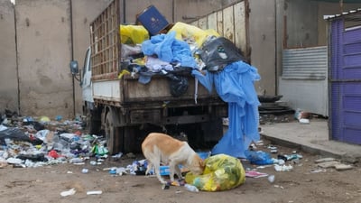 جدل حول من يوفر “الخراطيش الصيدية”.. أهالي بابل يتبرعون لمواجهة الكلاب السائبة