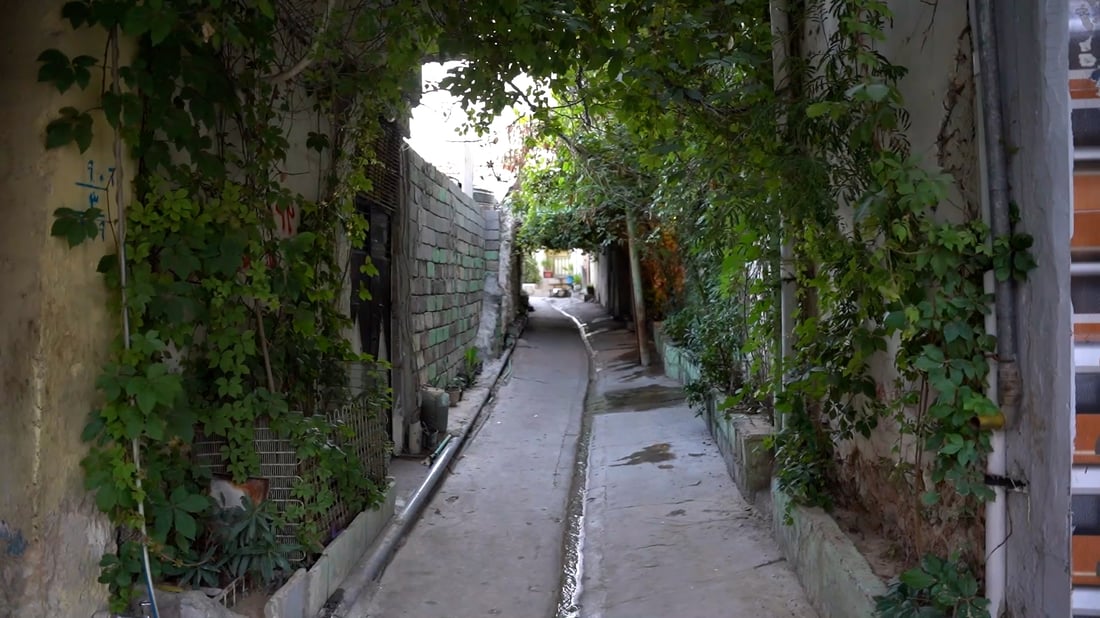 أم عمّار 