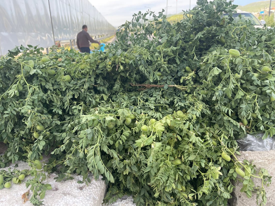 نۆبەرەی فەریکە نۆکەکەی گەرمیان لە بازاڕی سلێمانییە