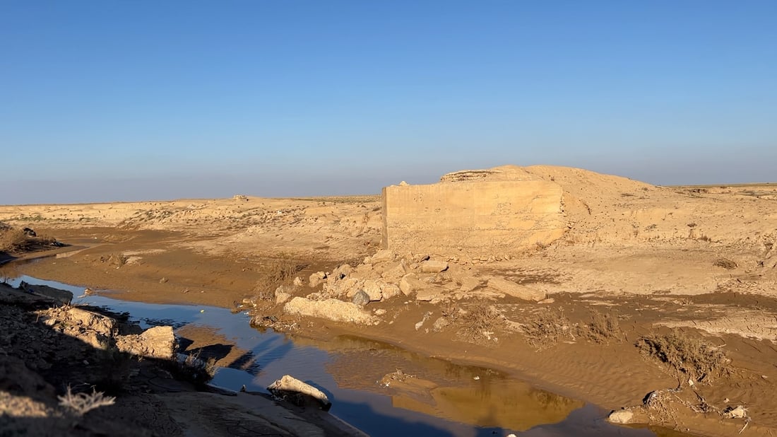 حل حقيقي يحوّل الصحراء بين العراق وسوريا إلى مروج خضراء؟