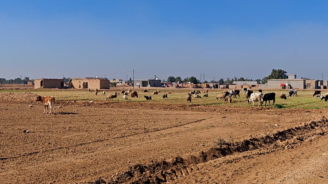 أوصلوا لنا الماء والمجاري فمنطقتنا كبرت.. صور من حي الفرسان البغدادي في النهروان