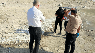 نزیکەی شەش هەزار ماسی مرداربوونەوە و هۆکارەکەی ئاشکرا کرا 