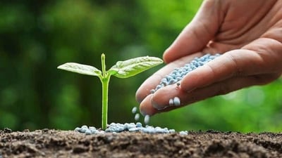 بۆ ئه‌و جوتیارانه‌ى نازانن چۆن په‌ین به‌كاربهێنن