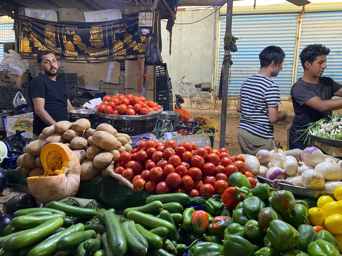 ثمار الزبير لاتزال خضراء.. الشلامجة تسمح بدخول طماطة إيران (صور)