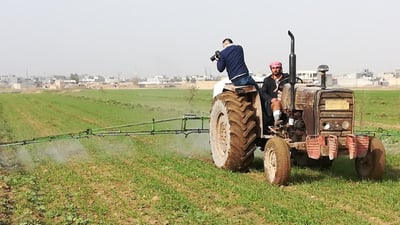 فلاحون “وهميون” يتسلّمون بذوراً بمليار دينار في المثنى