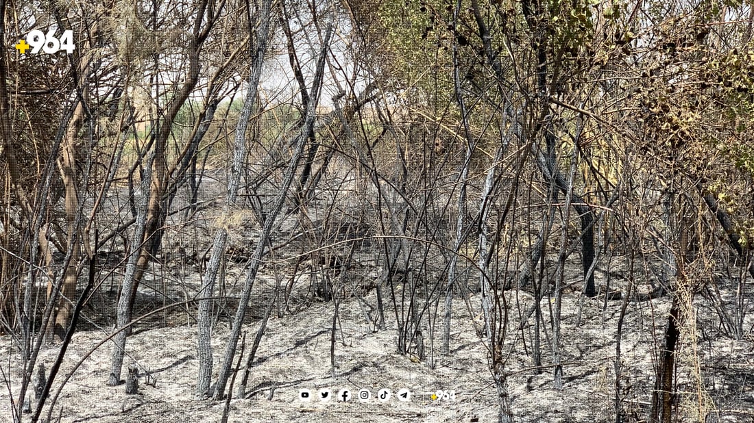 “سووتاندنی دارستانەكان دەستی لە پشتە”