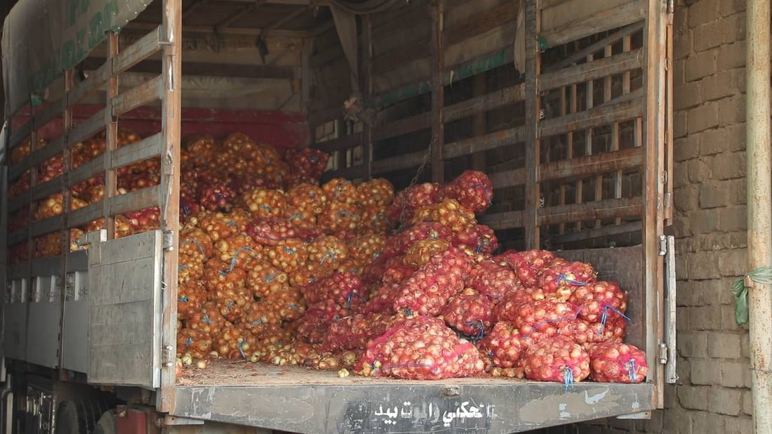 العراق ثانياً في استيراد الفواكه والخضار من تركيا خلال الربع الأول من 2024