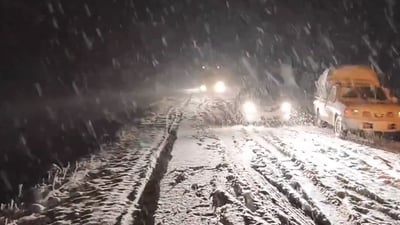 لەناوشار و دەرەوەی شاریش سەدان ئۆتۆمبێل لە کۆیە گیریان خواردووە