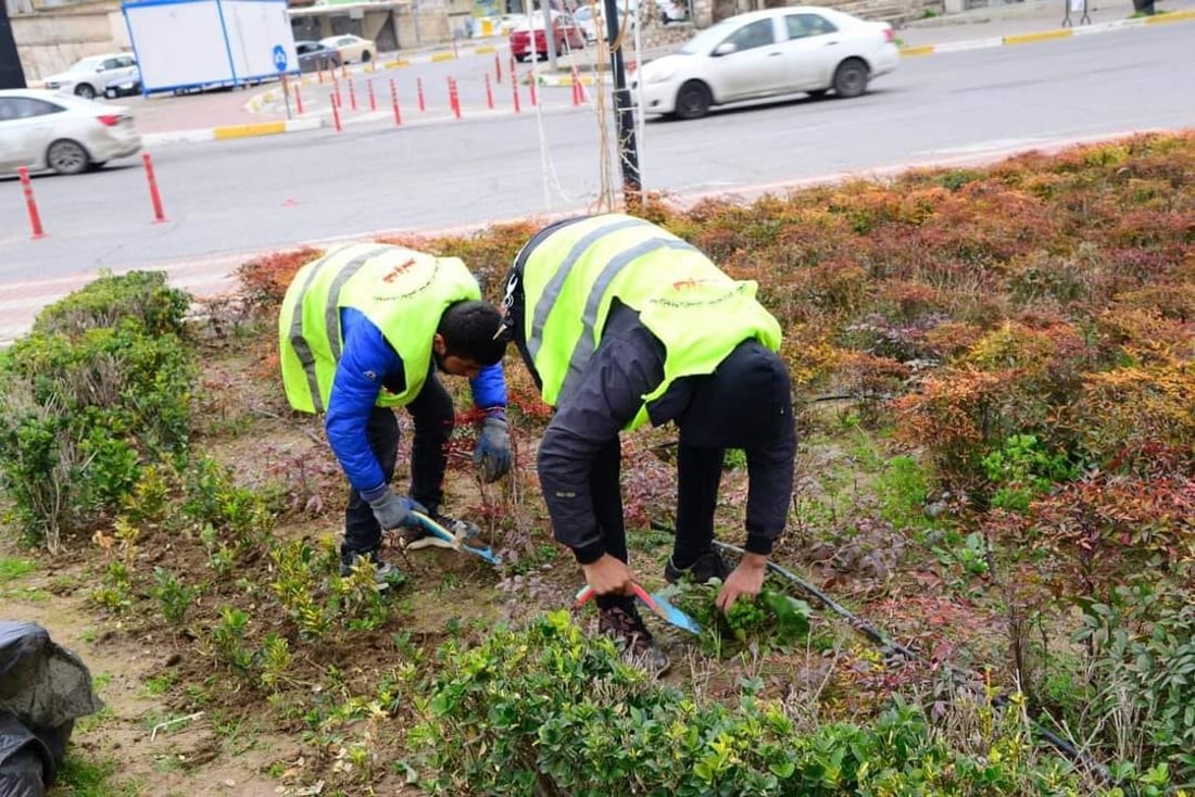 دار و دره‌ختی چه‌ند شه‌قامێكی هه‌ولێر رێكخرانه‌وه‌