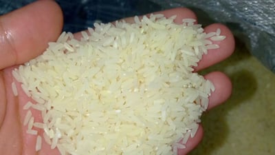 برنجەکەی شارەزوور ناخورێ و خەڵک بۆ ئالیکی ئاژەڵ بردوویانە