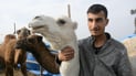 Hamza’s camel milk stall draws locals and tourists in Salah Al-Din