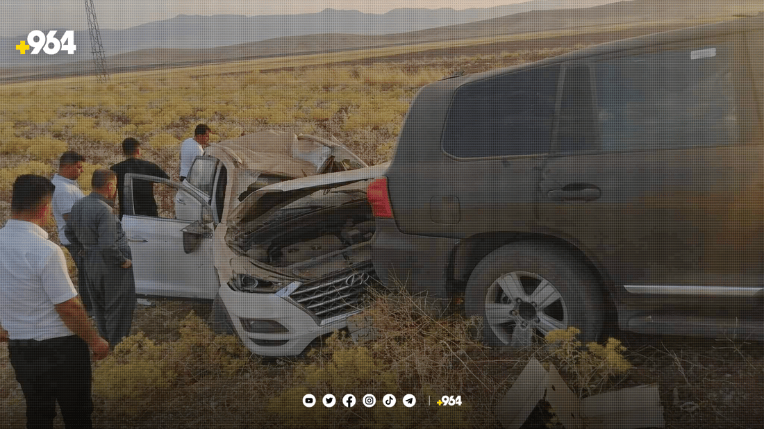 پێشبڕکێیان کرد و وەرگەڕان