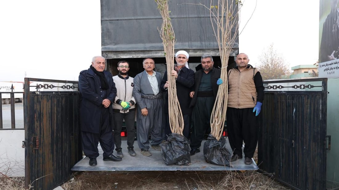 گروپە ناوازەکە سێ هەزار دارتووی دیکەیان بۆ پێنجوێن هێنا