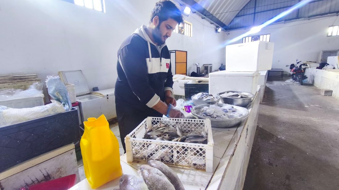 “هامور وشانگ وروبيان”.. وصول 22 طن أسماك إلى النقعة (صور)