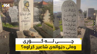 لاشەی دوو بێچوە سەگی مردوو لەسەر گۆڕی وەلی دێوانە دۆزر...