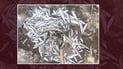 به‌داوادچوون بۆ‌ ژه‌هرخواردكردنى سه‌دان ماسی له‌ چه‌می ئاوه‌سپی ده‌كرێت