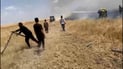 فيديو: حريق يلتهم 50 دونماً من الحنطة في قرية كليسة بداقوق