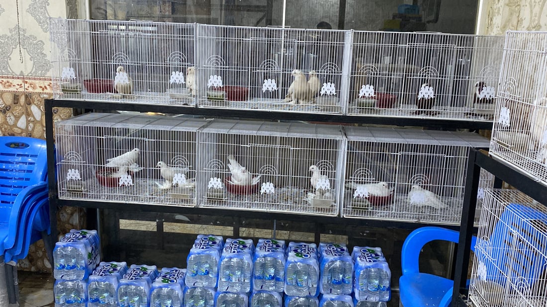 صور: الخبراء يعلمون الهواة أسرار “المطيرجية” في منتدى تراث الناصرية