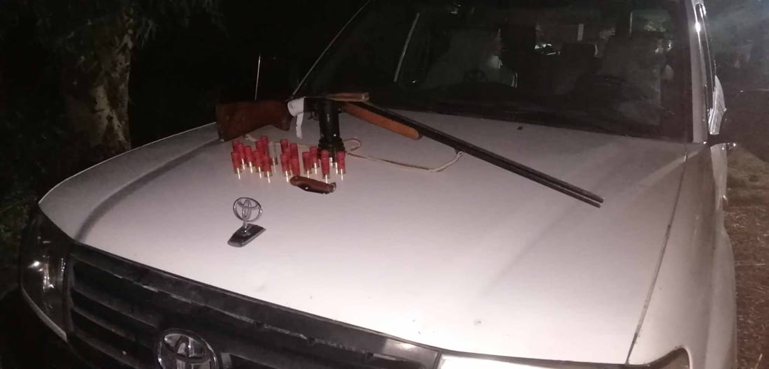 سێ راوچی باڵندەی کێوی دەستگیر کران