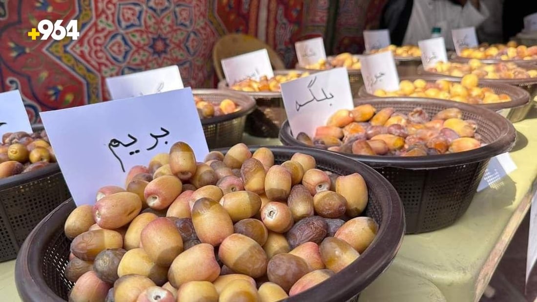 صور: مهرجان التمور في السماوة.. كل الأصناف تغار من “البلكة” وأم الدبس