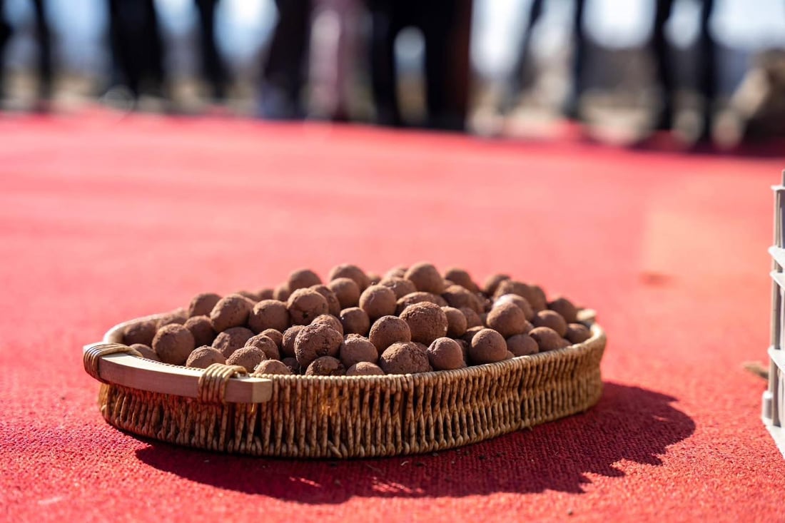 لەرێگەی هێلیکۆپتەرەوە رێژەی سەوزایی لە چیاکانی زاوێتە زیاد دەکرێت