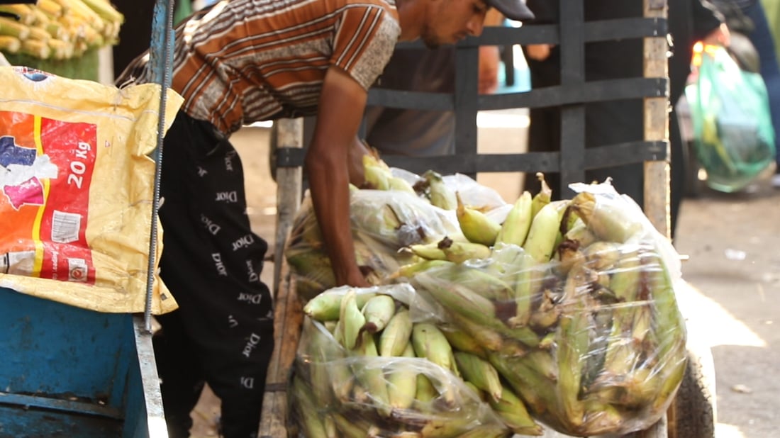 صور: ارتفاع سعر الخضروات في البصرة.. الأمطار تؤخر وصول البضاعة من كردستان وإيران